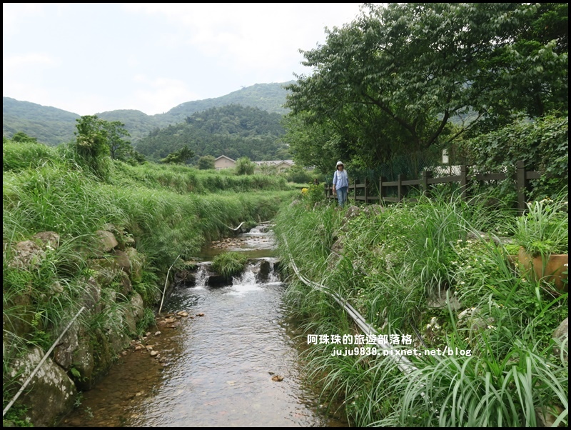 竹子湖47.JPG 竹子湖47.JPG