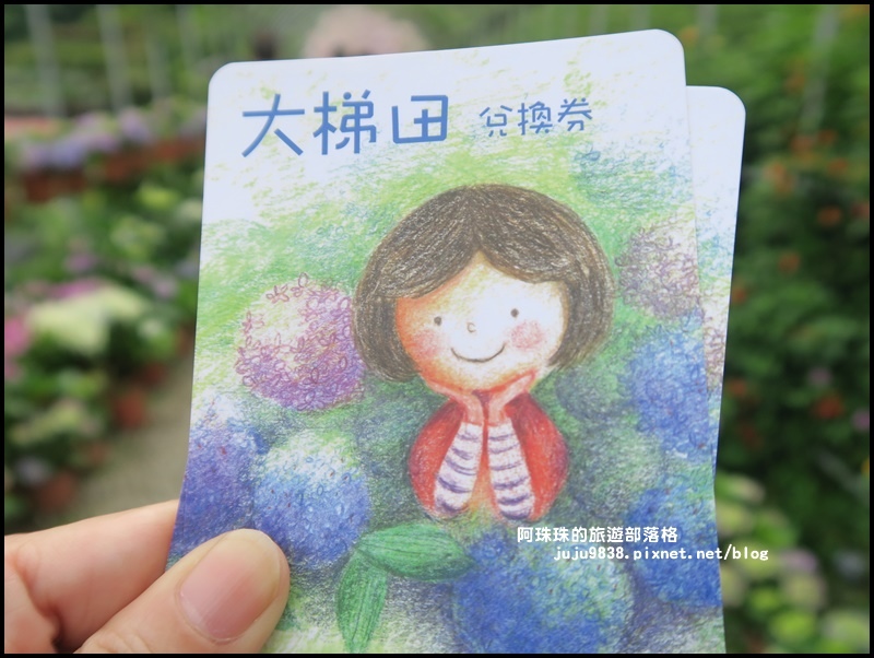 竹子湖52.JPG 竹子湖52.JPG