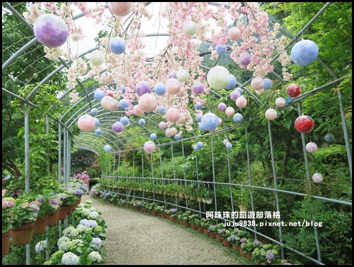 竹子湖54.JPG 竹子湖54.JPG