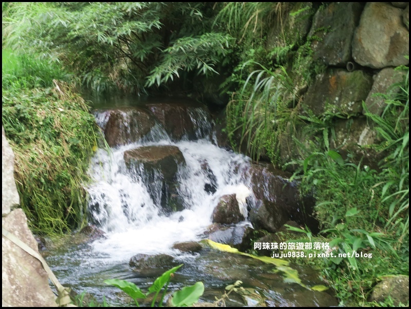 竹子湖63.JPG 竹子湖63.JPG