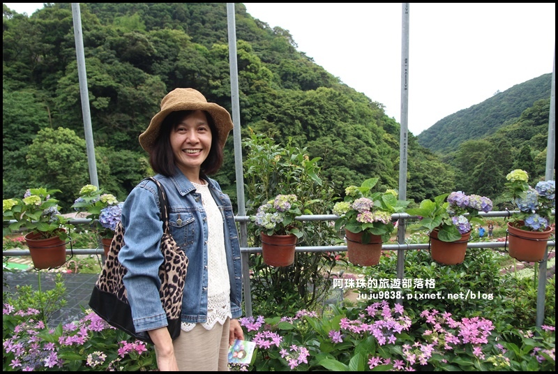 竹子湖64.JPG 竹子湖64.JPG