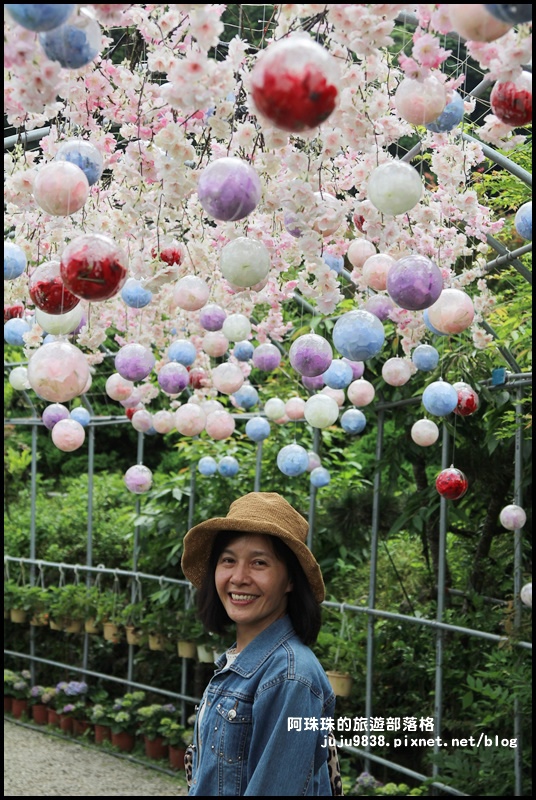 竹子湖65.JPG 竹子湖65.JPG