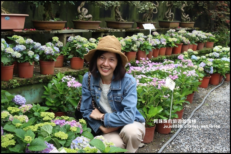 竹子湖66.JPG 竹子湖66.JPG