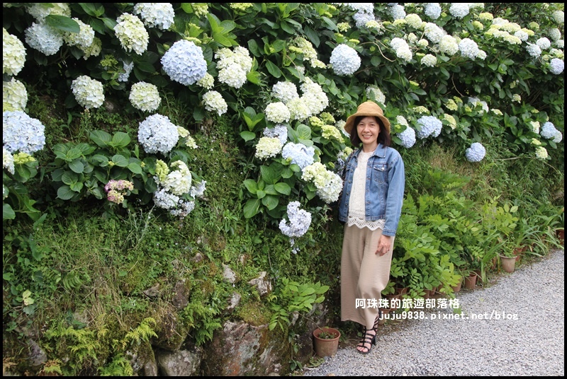 竹子湖67.JPG 竹子湖67.JPG