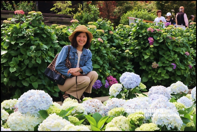 竹子湖69.JPG 竹子湖69.JPG