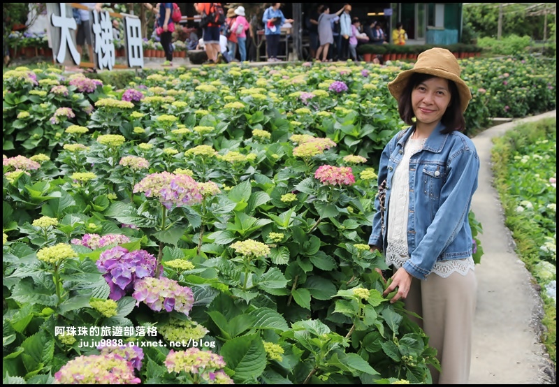 竹子湖70.JPG 竹子湖70.JPG