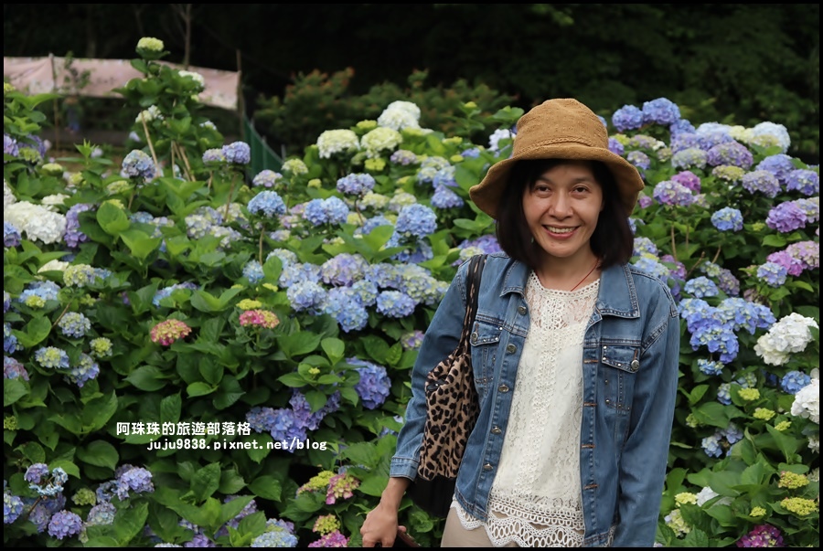 竹子湖73.JPG 竹子湖73.JPG