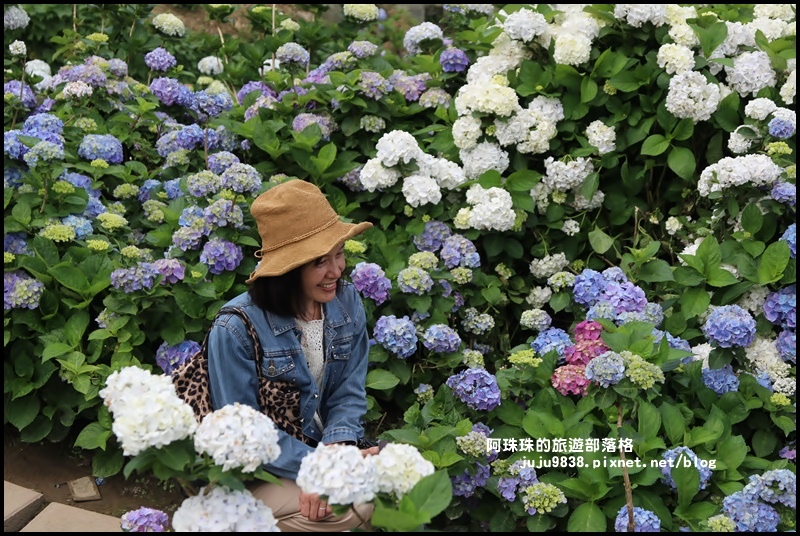 竹子湖75.JPG 竹子湖75.JPG