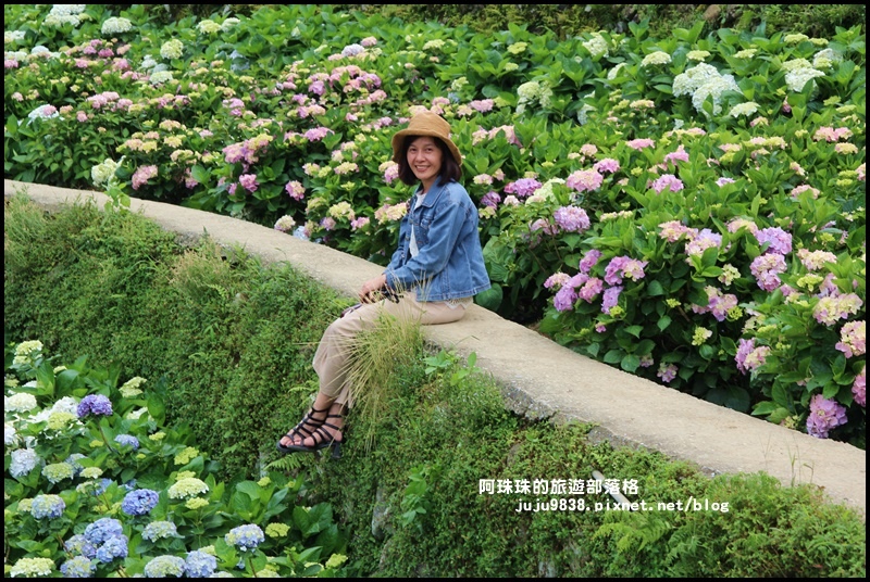 竹子湖82.JPG 竹子湖82.JPG