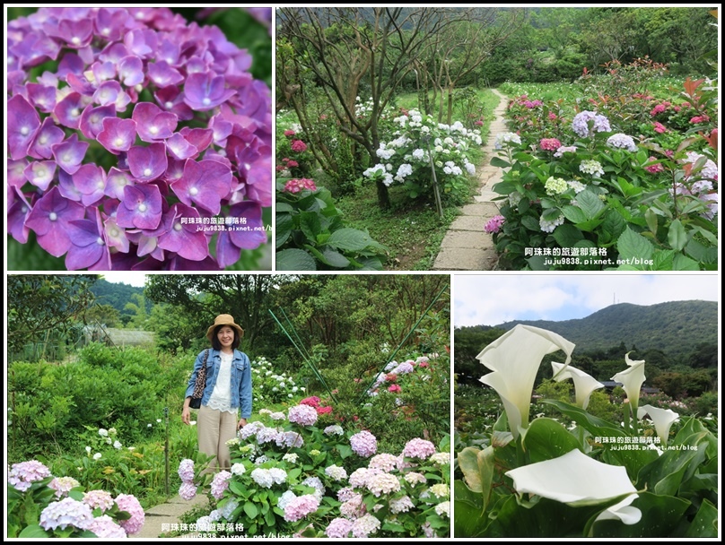 竹子湖88.jpg 竹子湖88.jpg