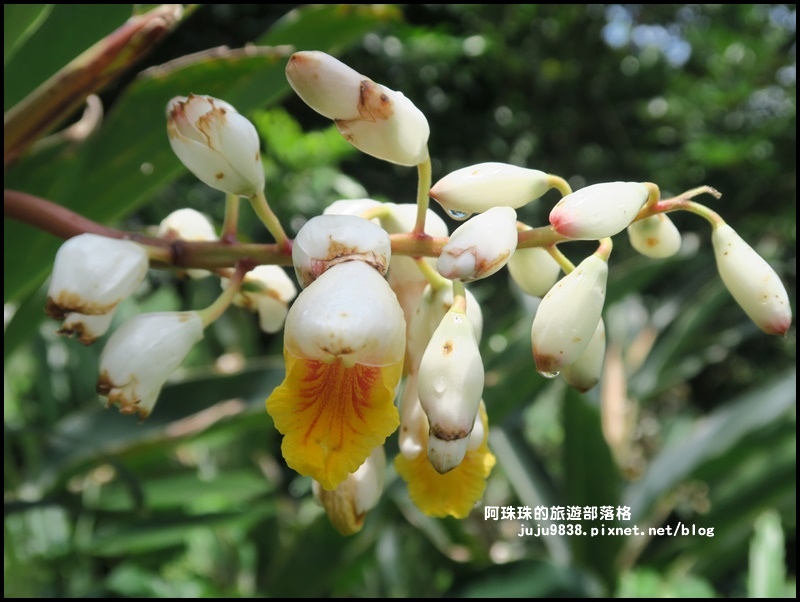 鼻頭角步道8.JPG 鼻頭角步道8.JPG