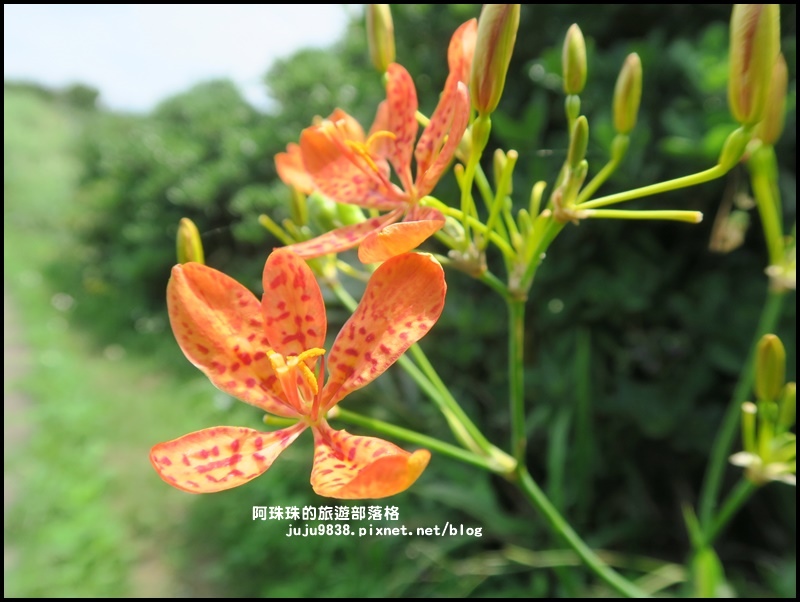 鼻頭角步道24.JPG 鼻頭角步道24.JPG