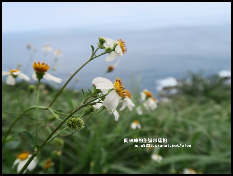 鼻頭角步道32.JPG 鼻頭角步道32.JPG