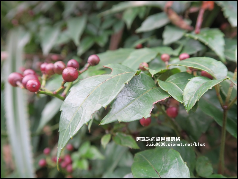 鼻頭角步道34.JPG 鼻頭角步道34.JPG