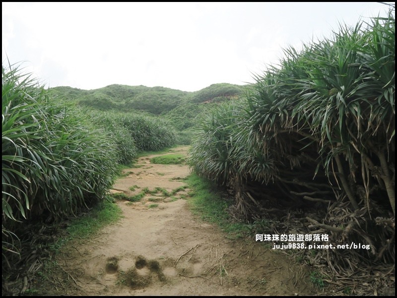 鼻頭角步道44.JPG