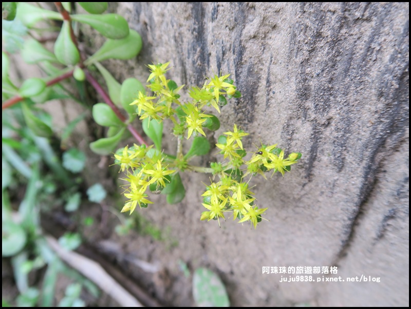 鼻頭角步道49.JPG 鼻頭角步道49.JPG