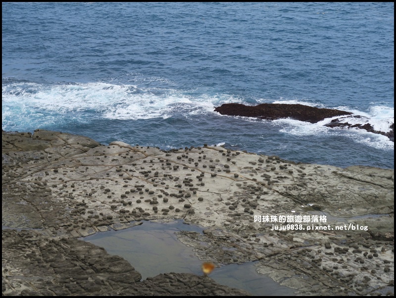 鼻頭角步道50.JPG 鼻頭角步道50.JPG