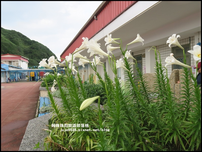 鼻頭角步道60.JPG 鼻頭角步道60.JPG