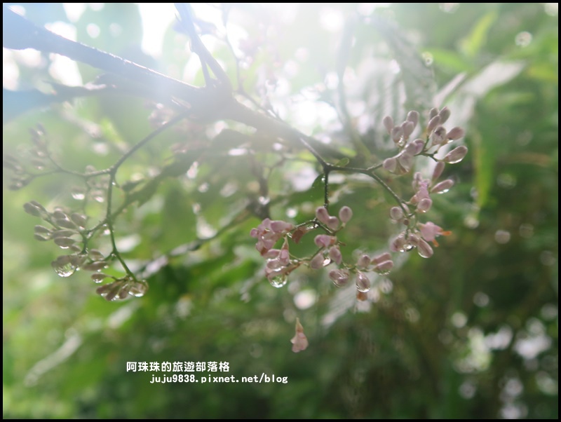 龜山島49.JPG 龜山島49.JPG