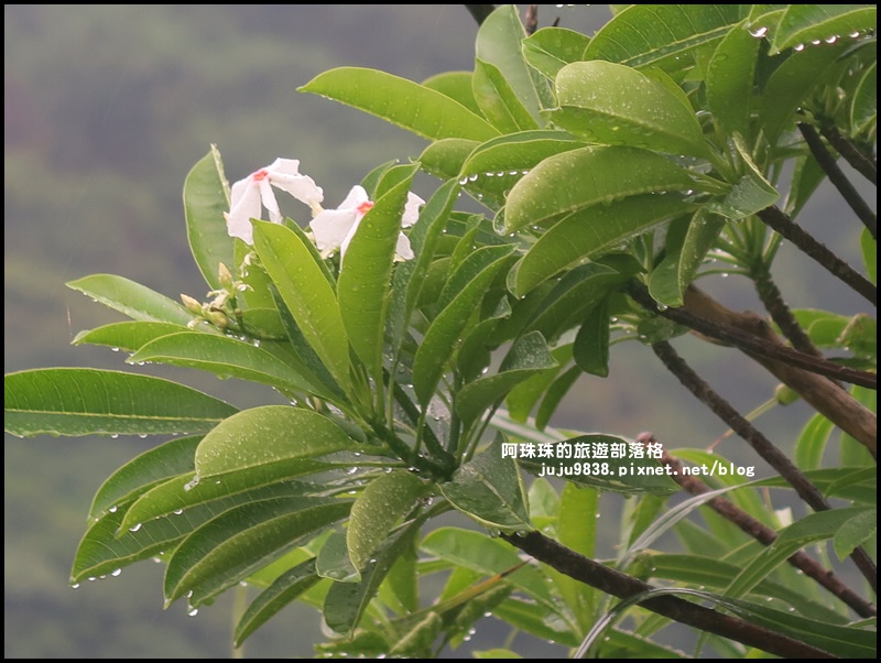 龜山島53.JPG 龜山島53.JPG