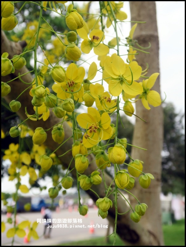 石門水庫32.JPG 石門水庫32.JPG