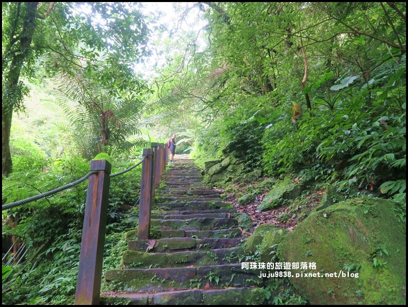 銀河洞26.JPG 銀河洞26.JPG