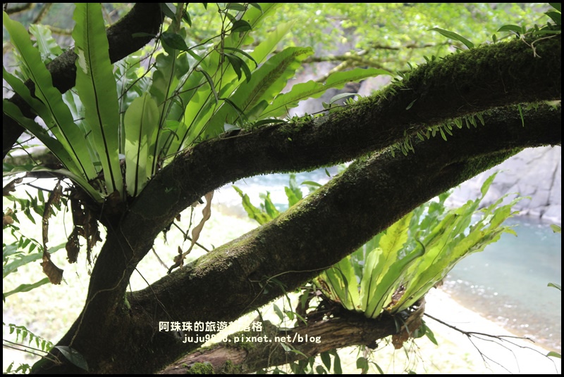 內洞9.JPG 內洞9.JPG