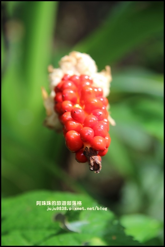 內洞17.JPG 內洞17.JPG