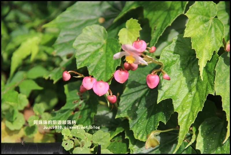 內洞18.JPG 內洞18.JPG