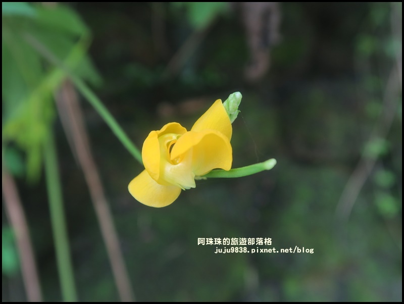 內洞19.JPG 內洞19.JPG