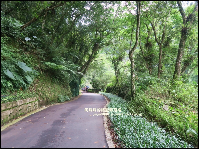 內洞33.JPG 內洞33.JPG