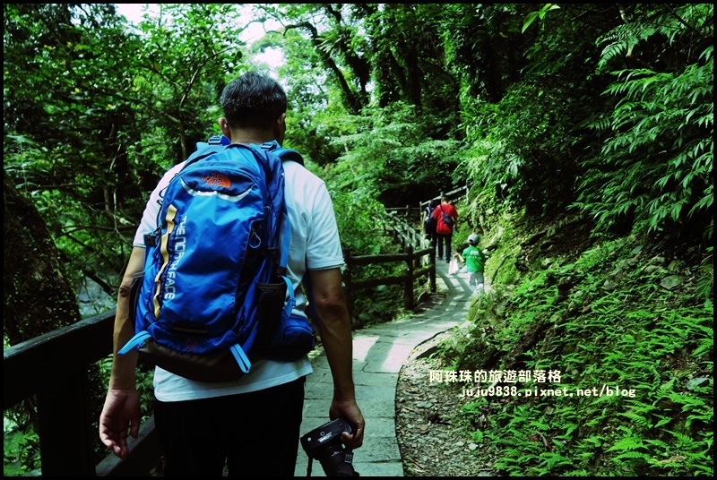 內洞38.JPG 內洞38.JPG