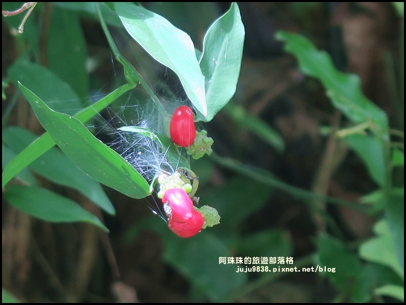 內洞46.JPG 內洞46.JPG