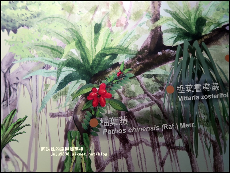 內洞50.JPG 內洞50.JPG