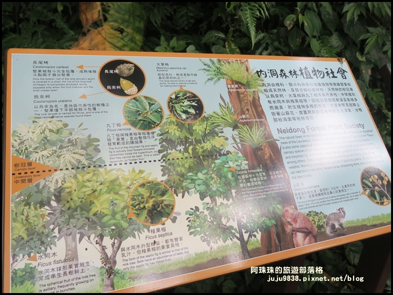 內洞49.JPG 內洞49.JPG