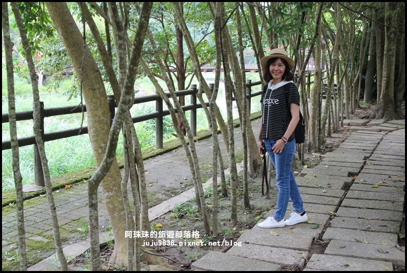 獅潭生態旅遊2.JPG 獅潭生態旅遊2.JPG