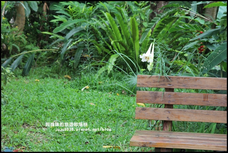 獅潭生態旅遊8.JPG 獅潭生態旅遊8.JPG