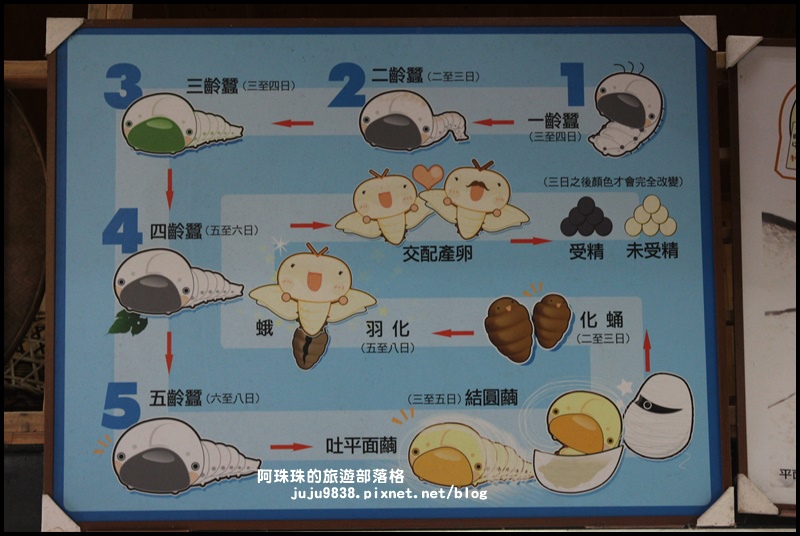 獅潭生態旅遊49.JPG 獅潭生態旅遊49.JPG