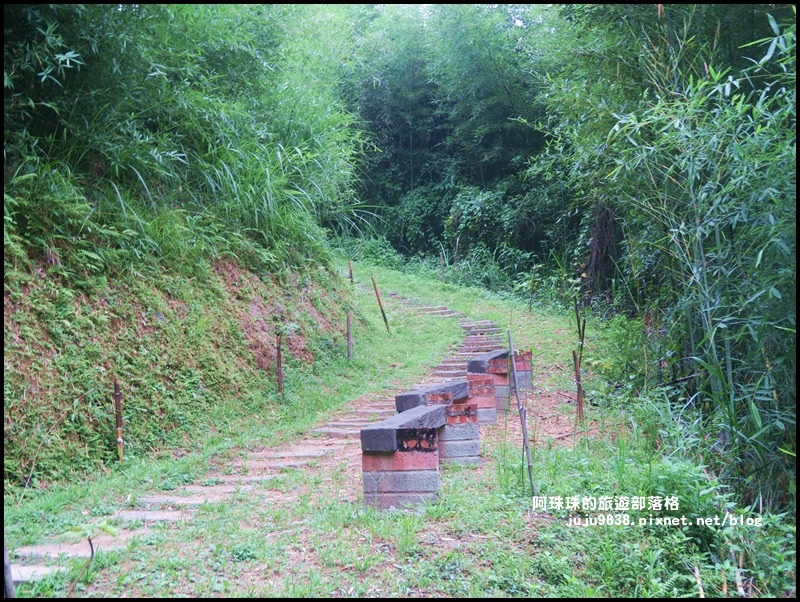 獅潭生態旅遊164.JPG 獅潭生態旅遊164.JPG