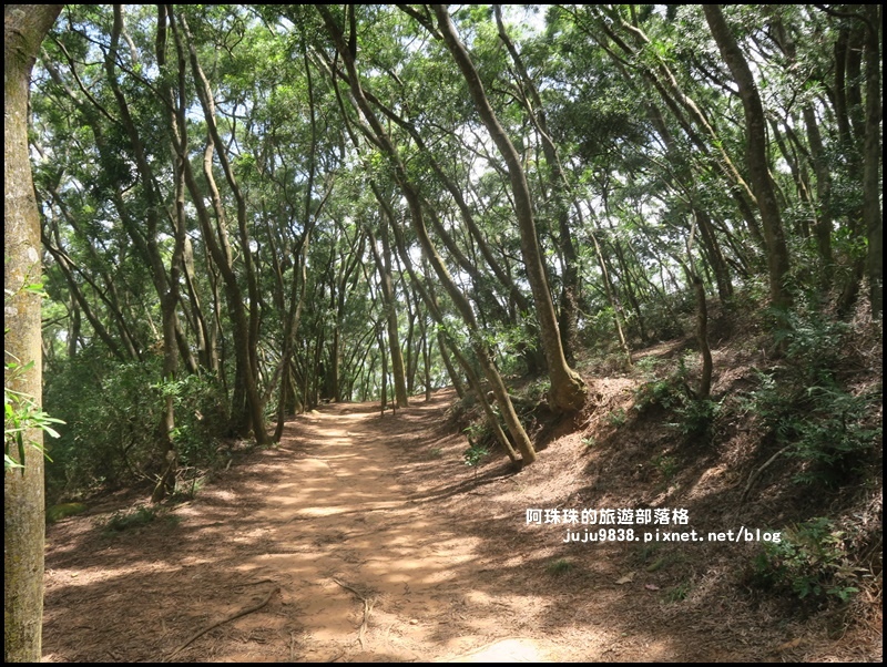 火燄山55.JPG