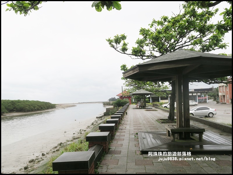 新豐紅樹林2.JPG 新豐紅樹林2.JPG