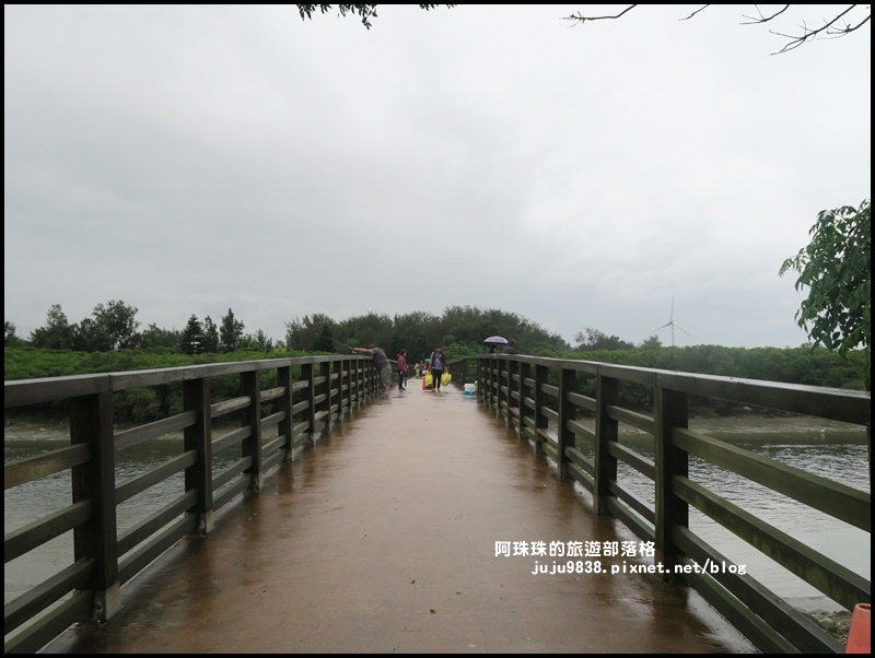 新豐紅樹林4.JPG 新豐紅樹林4.JPG