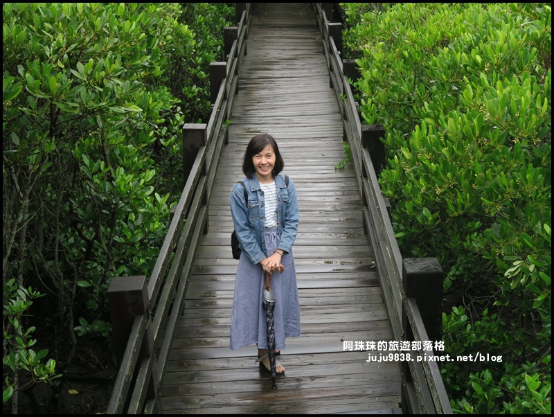 新豐紅樹林8.JPG 新豐紅樹林8.JPG