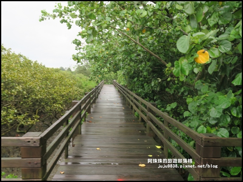 新豐紅樹林20.JPG 新豐紅樹林20.JPG