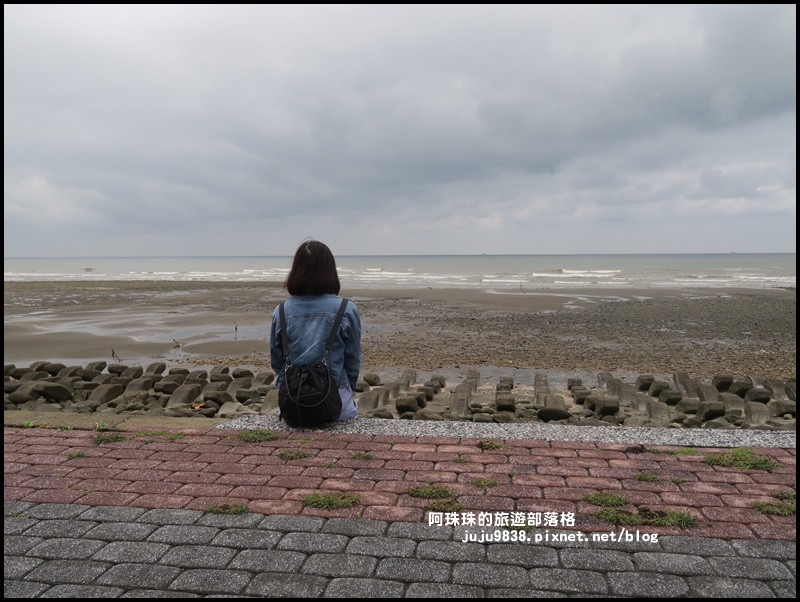 新豐紅樹林28.JPG 新豐紅樹林28.JPG