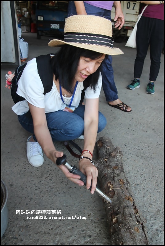 泰安輕旅行13.JPG 泰安輕旅行13.JPG