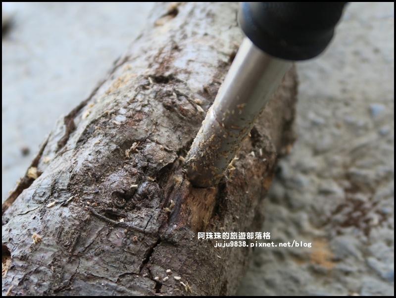 泰安輕旅行33.JPG 泰安輕旅行33.JPG