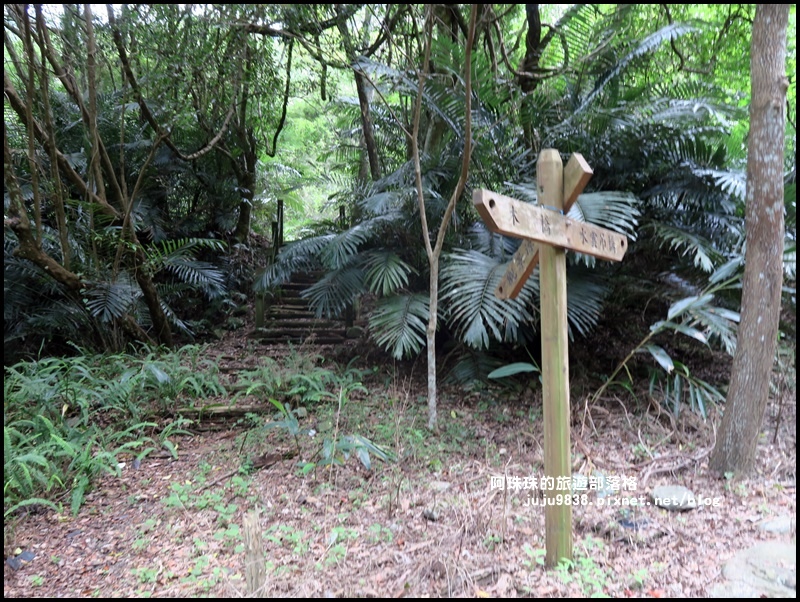 泰安輕旅行52.JPG 泰安輕旅行52.JPG