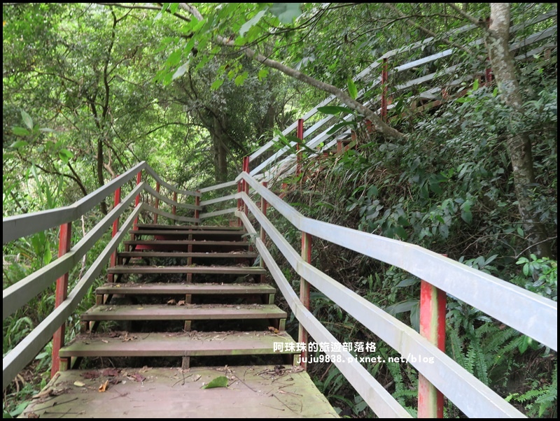 泰安輕旅行58.JPG 泰安輕旅行58.JPG