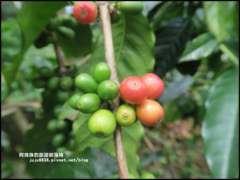 泰安輕旅行65.JPG 泰安輕旅行65.JPG